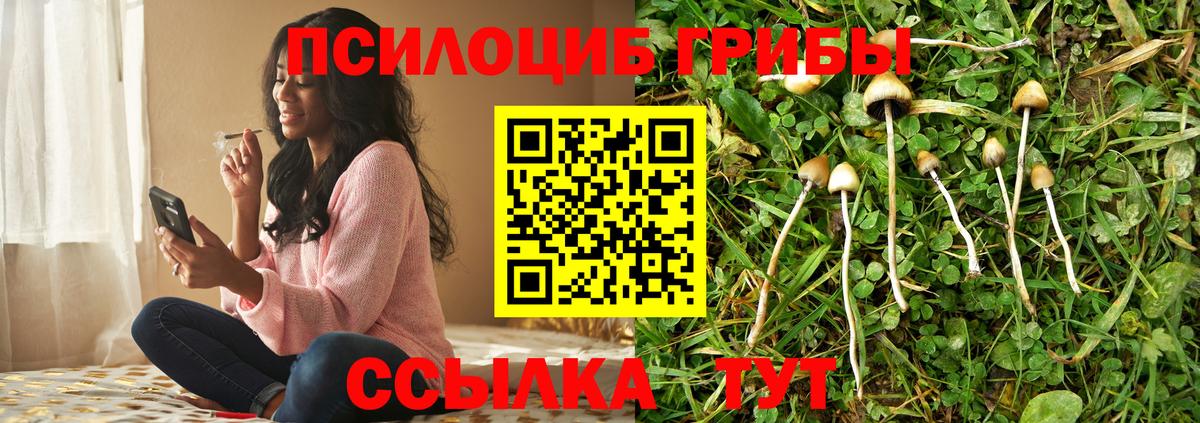 Коломна  Галлюциногенные грибы мухоморы  Псилоцибиновые грибы мицелий  купить   Вход с VPN 